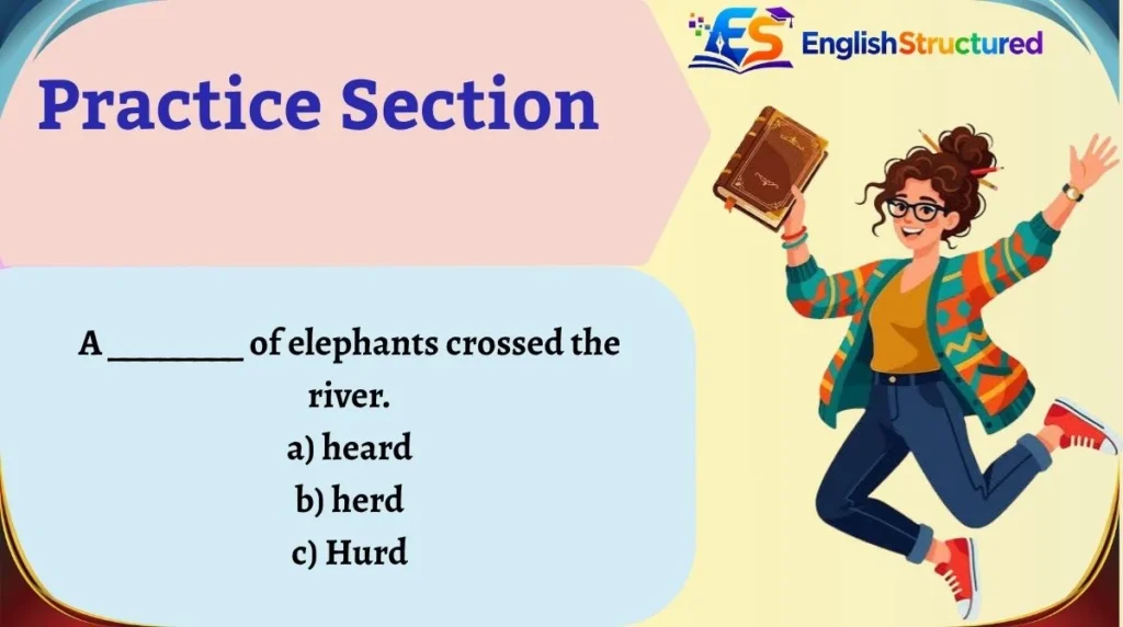 Practice Section