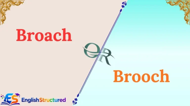 Broach or Brooch