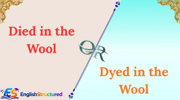 Died in the Wool or Dyed in the Wool