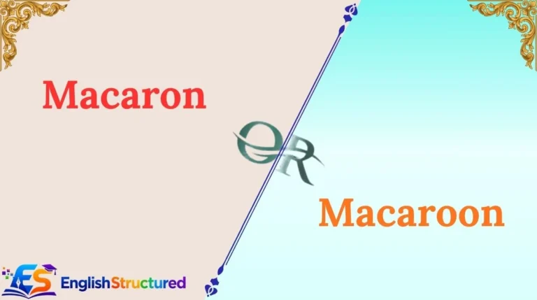 Macaron or Macaroon