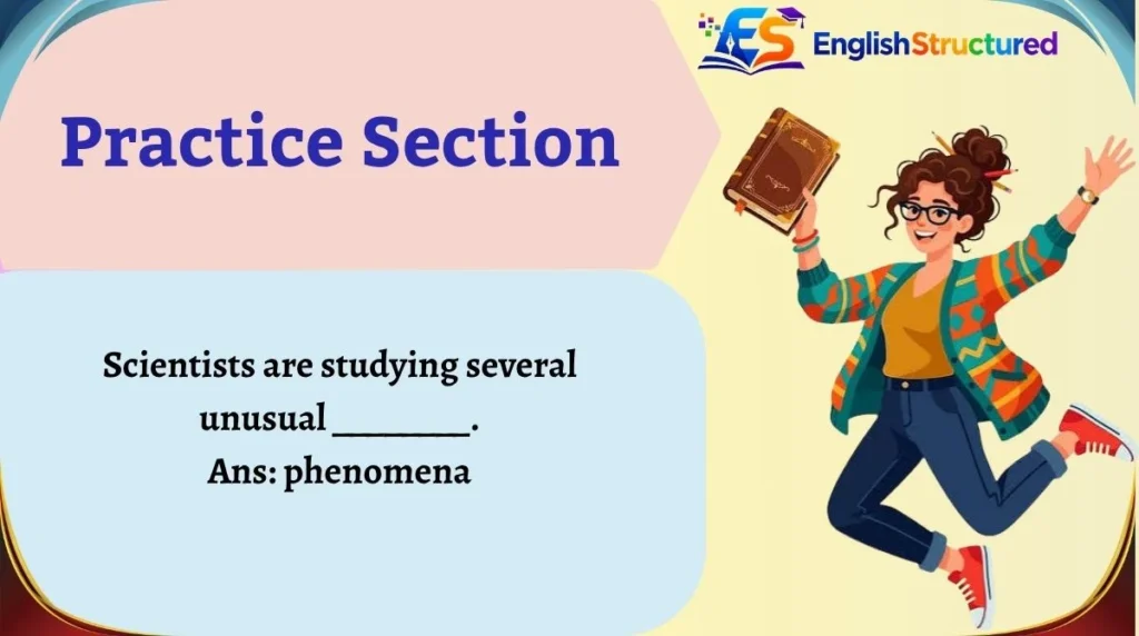 Practice Section